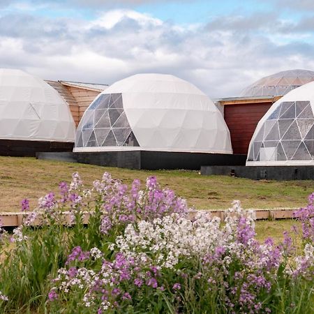 Вилла Garden Domes Пуэрто-Наталес Экстерьер фото