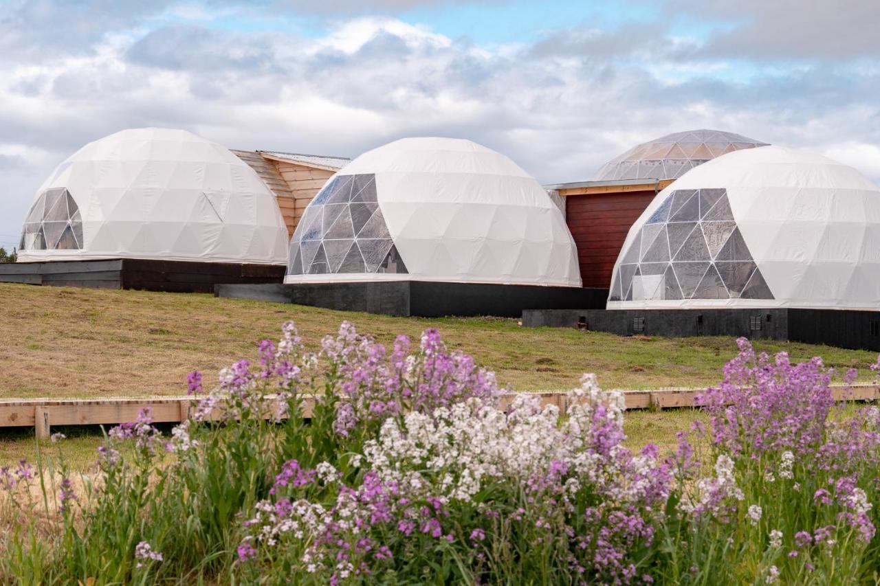Вилла Garden Domes Пуэрто-Наталес Экстерьер фото